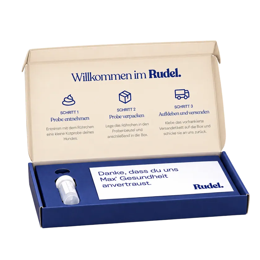Die geöffnete Rudel Box „Willkommen im Rudel“ mit Probenset