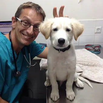 Dr. Werner