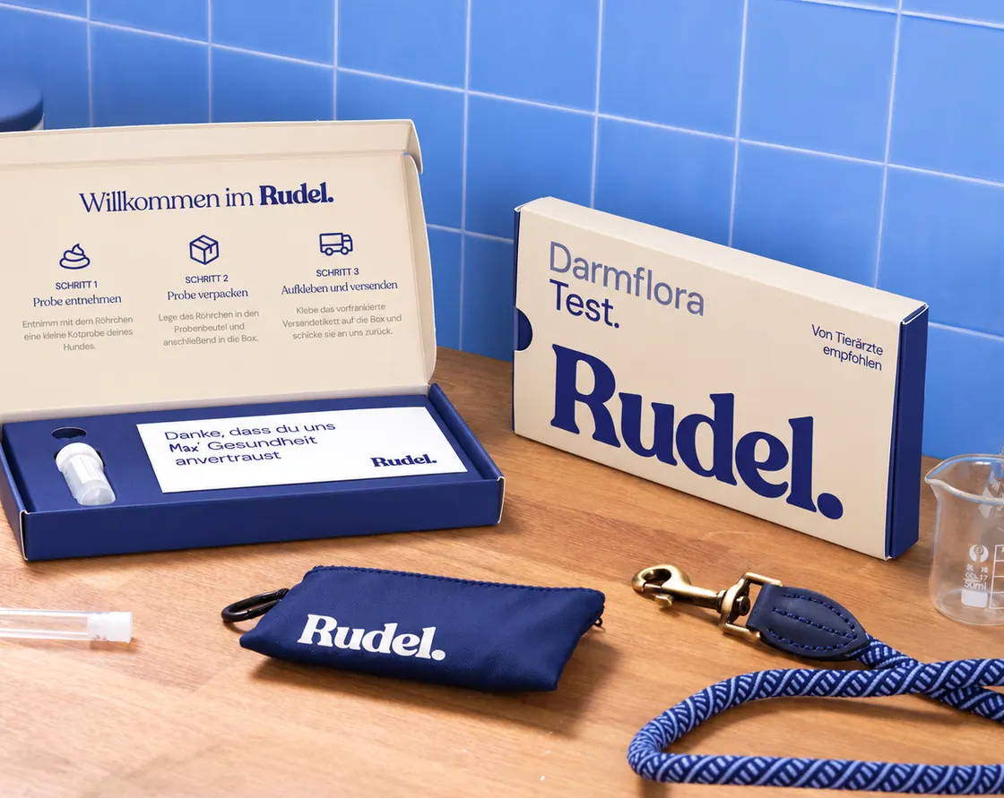 Die Rudel-Box mit dem Probenset auf einem Holztisch, daneben eine Leine