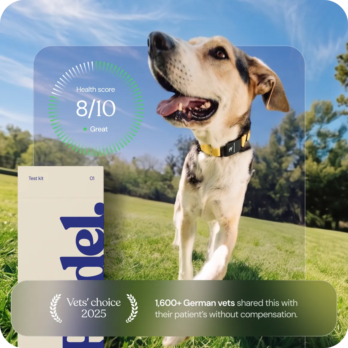 The Rudel test kit next to a dog, with a health score of 8 out of 10