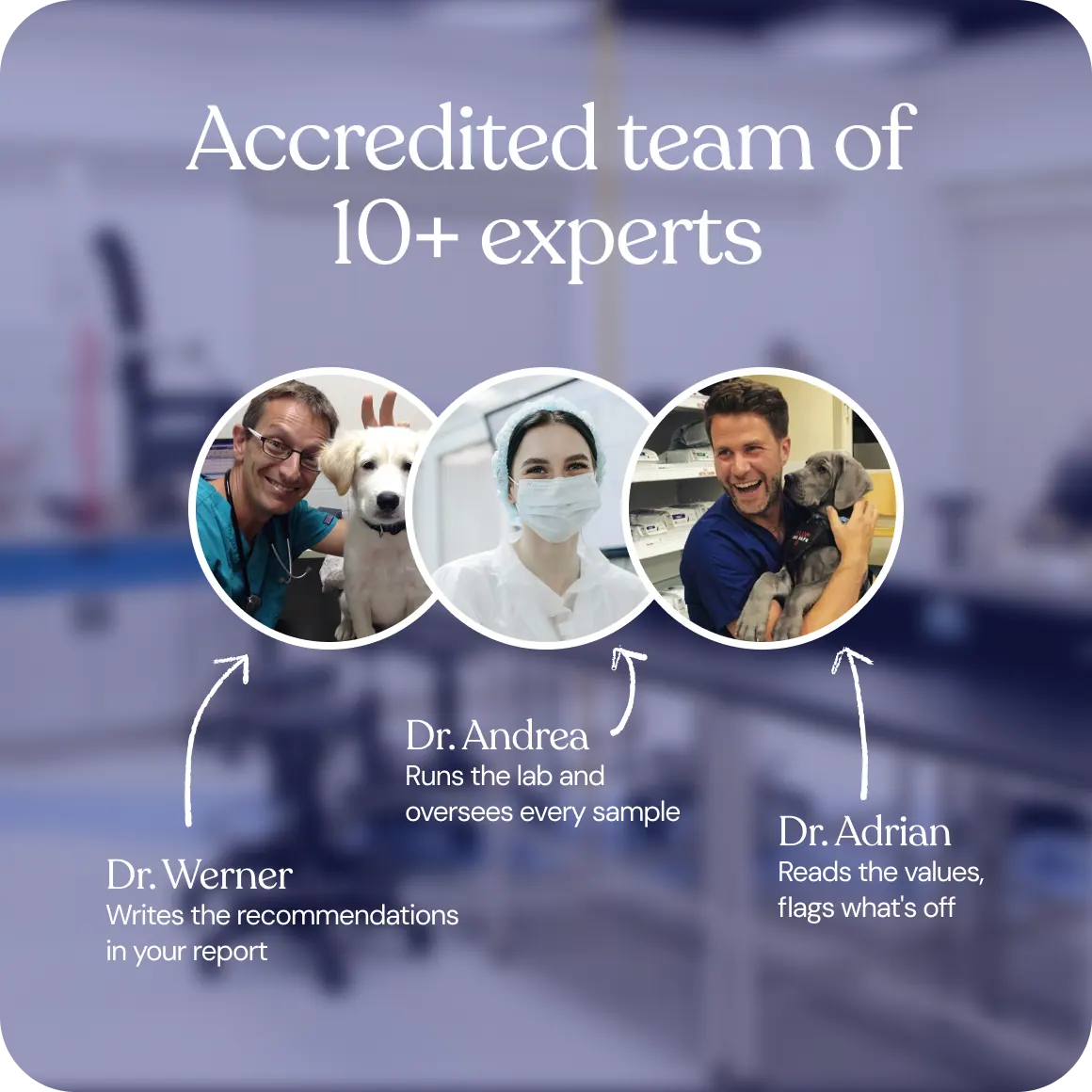 The accredited team of vets behind every report